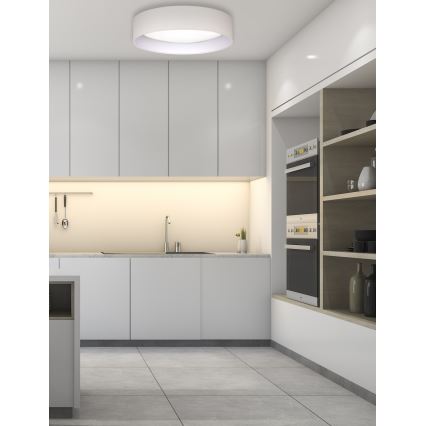 Duolla - LED Laevalgusti ROLLER LED/24W/230V d. 45 cm kreemikas