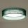Duolla - LED Laevalgusti ROLLER LED/24W/230V d. 45 cm roheline