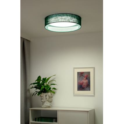 Duolla - LED Laevalgusti ROLLER LED/24W/230V d. 45 cm roheline