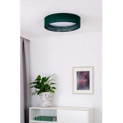 Duolla - LED Laevalgusti ROLLER LED/24W/230V d. 45 cm roheline