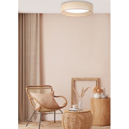 Duolla - LED Laevalgusti ROLLER LED/24W/230V d. 45 cm rotang
