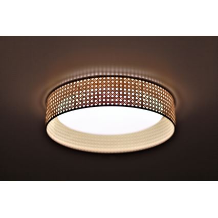 Duolla - LED Laevalgusti ROLLER LED/24W/230V d. 45 cm rotang