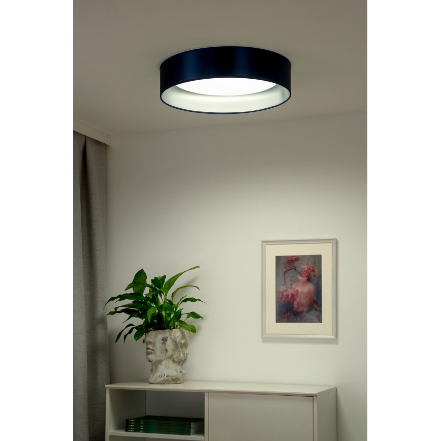 Duolla - LED Laevalgusti ROLLER LED/24W/230V d. 45 cm sinine/hõbedane