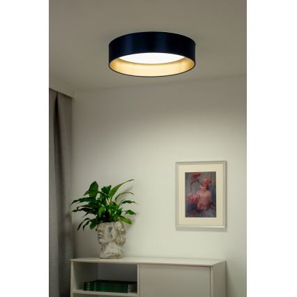 Duolla - LED Laevalgusti ROLLER LED/24W/230V d. 45 cm sinine/kuldne