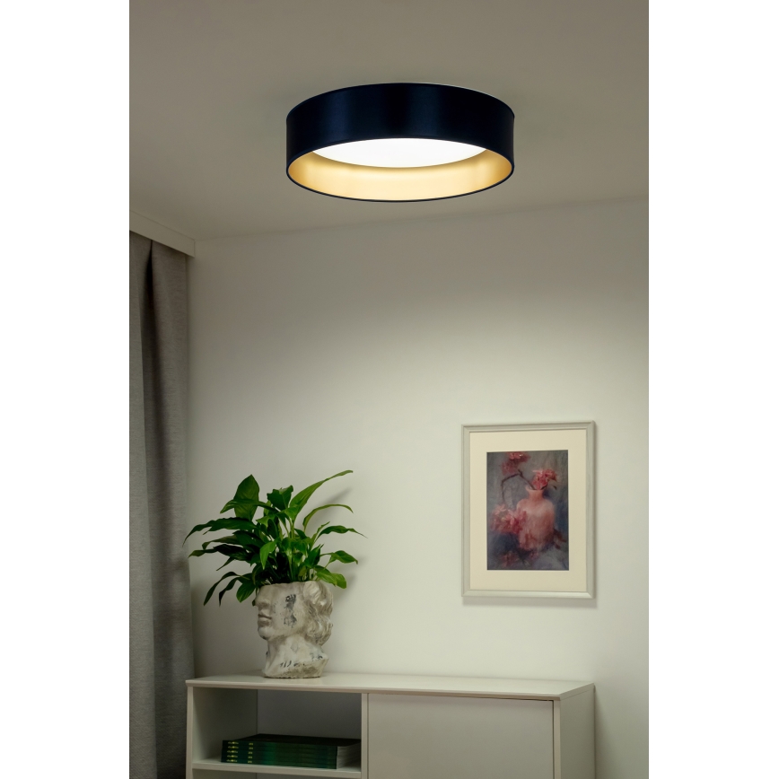 Duolla - LED Laevalgusti ROLLER LED/24W/230V d. 45 cm sinine/kuldne