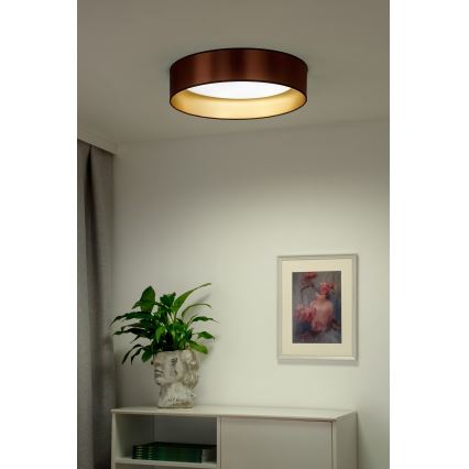 Duolla - LED Laevalgusti ROLLER LED/24W/230V d. 45 cm vask/kuldne
