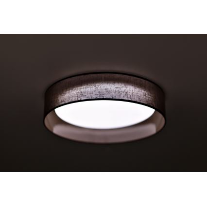 Duolla - LED Laevalgusti ROLLER LED/24W/230V tume d. 45 cm pruun