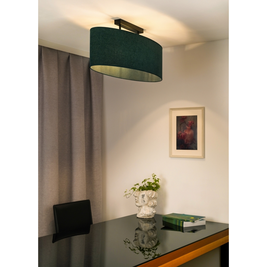 Duolla - Pinnale kinnitatav lühter OVAL 2xE27/15W/230V roheline