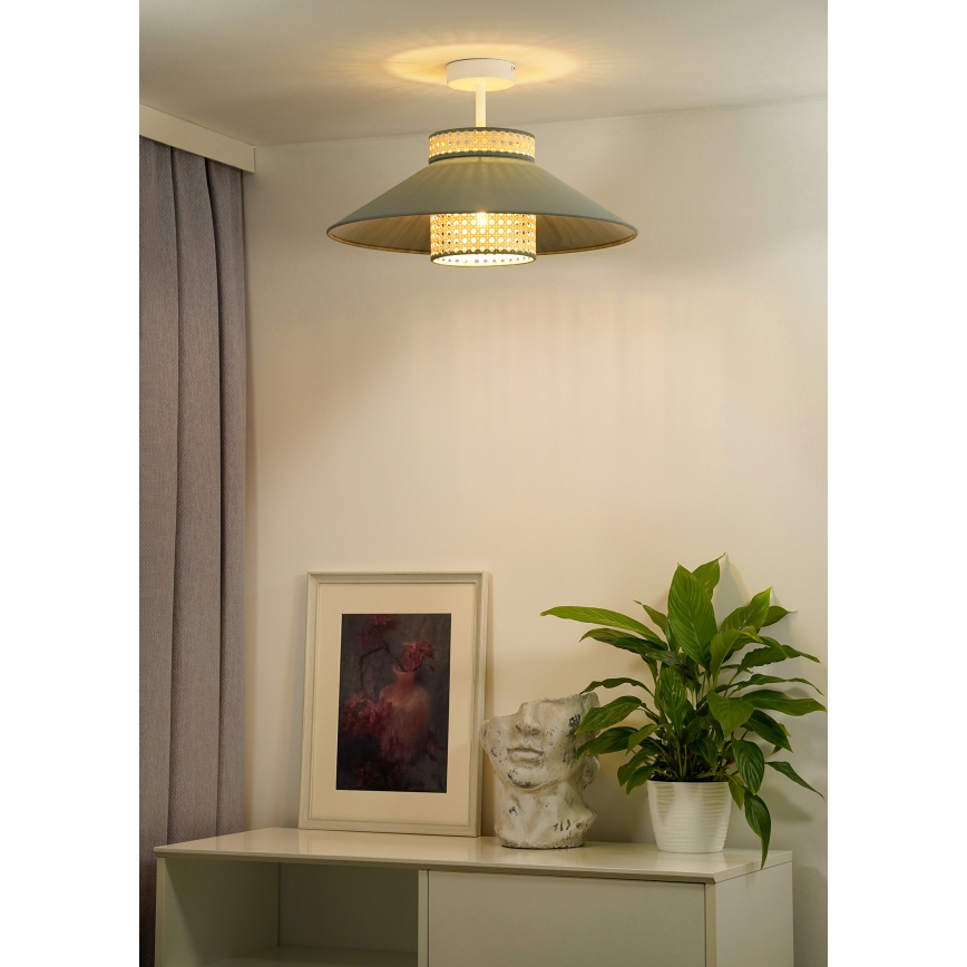 Duolla - Pinnale kinnitatav lühter RIO RATTAN 1xE27/15W/230V d. 45 cm roheline/rotang