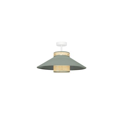 Duolla - Pinnale kinnitatav lühter RIO RATTAN 1xE27/15W/230V d. 45 cm roheline/rotang