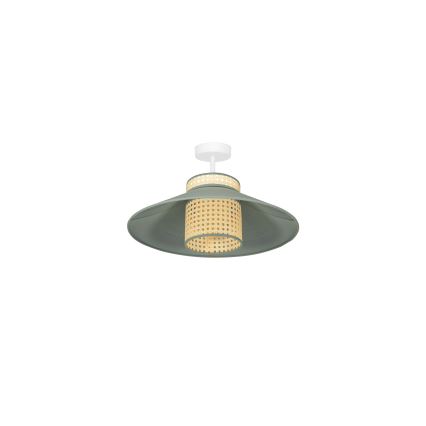 Duolla - Pinnale kinnitatav lühter RIO RATTAN 1xE27/15W/230V d. 45 cm roheline/rotang