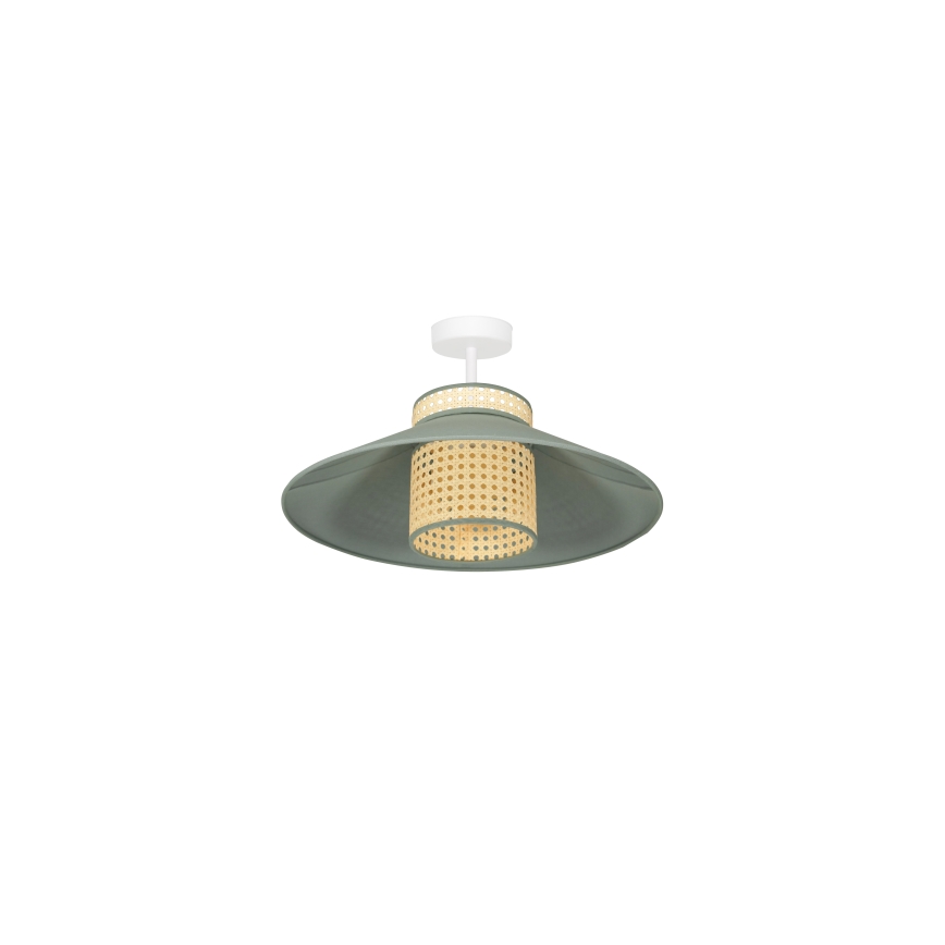 Duolla - Pinnale kinnitatav lühter RIO RATTAN 1xE27/15W/230V d. 45 cm roheline/rotang