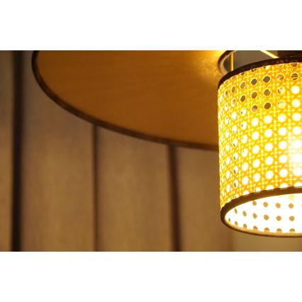 Duolla - Pinnale kinnitatav lühter TOKYO RATTAN 1xE27/15W/230V d. 50 cm kuldne/rotang