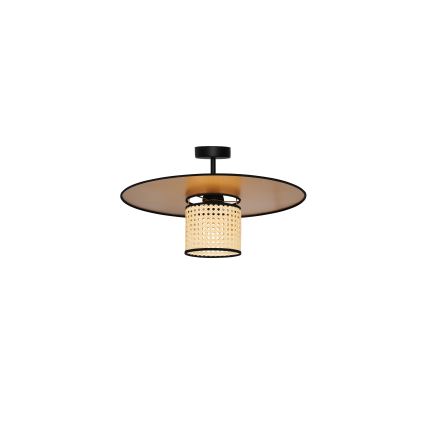Duolla - Pinnale kinnitatav lühter TOKYO RATTAN 1xE27/15W/230V d. 50 cm kuldne/rotang