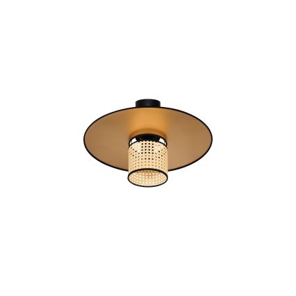 Duolla - Pinnale kinnitatav lühter TOKYO RATTAN 1xE27/15W/230V d. 50 cm kuldne/rotang