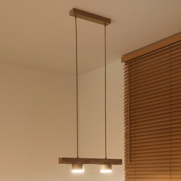 Duolla - Rippvalgusti juhtmel IRONLINE 2xGX53/3W/230V mänd tamm/beež
