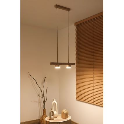 Duolla - Rippvalgusti juhtmel IRONLINE 2xGX53/3W/230V mänd tamm/beež