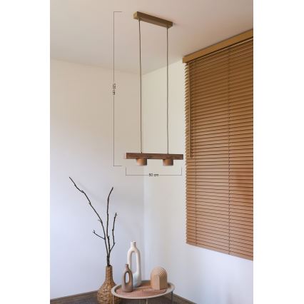 Duolla - Rippvalgusti juhtmel IRONLINE 2xGX53/3W/230V mänd tamm/beež