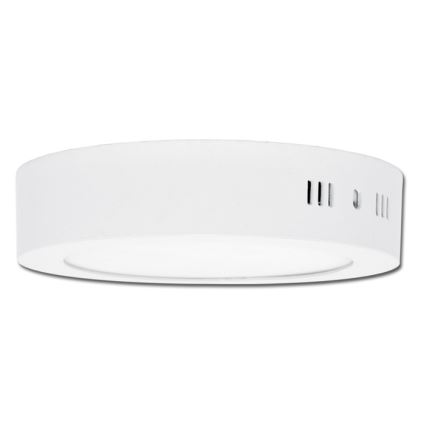 LED Laevalgusti LADA LED/25W/230V 3000/4000/6000K d. 30 cm valge