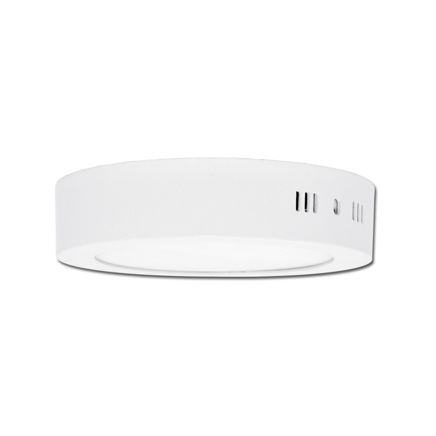 LED Laevalgusti LADA LED/25W/230V 3000/4000/6000K d. 30 cm valge