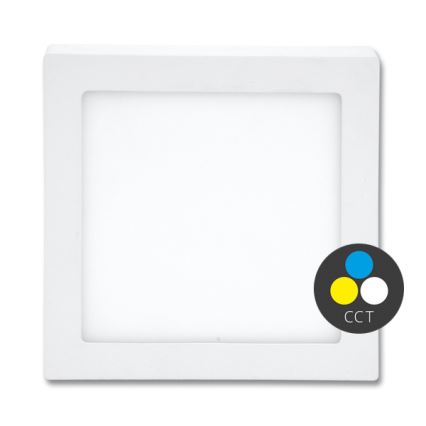 LED Laevalgusti RAFA LED/12W/230V 3000/4000/6000K 17x17 cm valge