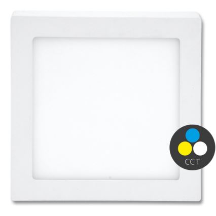 LED Laevalgusti RAFA LED/25W/230V 3000/4000/6000K 30x30 cm valge