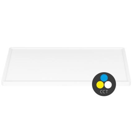 LED Laevalgusti TERY LED/50W/230V 3000/4000/6000K 90x60 cm IP40 valge