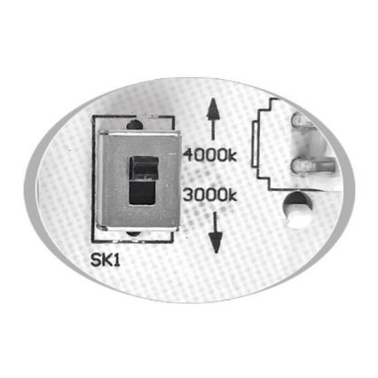 LEd Väli laevalgusti MARTIN LED/15W/230V 3000/4000K d. 30 cm IP65 valge