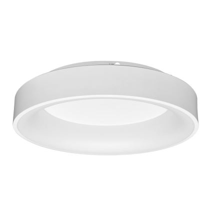 LED Hämardatav laevalgusti LED/40W/230V 3000–6500K valge