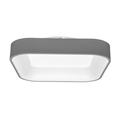 LED Hämardatav laevalgusti NEST LED/40W/230V 3000–6500K hall + pult