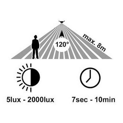 LED Väli seinavalgusti koos anduriga RITA LED/12W/230V 4000K IP65