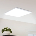 Eglo 300793 - LED laelamp LED/12W/230V 43,7x43,7 cm valge