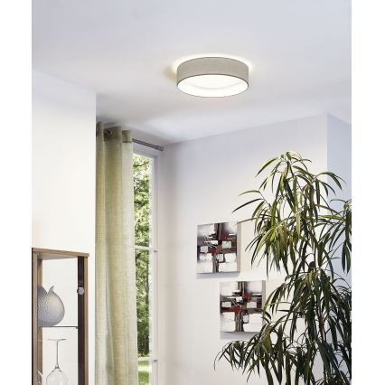 Eglo - LED laelamp LED/11W/230V