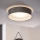 Eglo 31623 - LED laelamp MASERLO LED/16W/230V 3000K ø 40,5 cm hall/hõbedane
