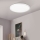 Eglo 31699 - LED RGB Hämardatav laevalgusti ROVITO-Z LED/16,5W/230V 2700-6500K valge