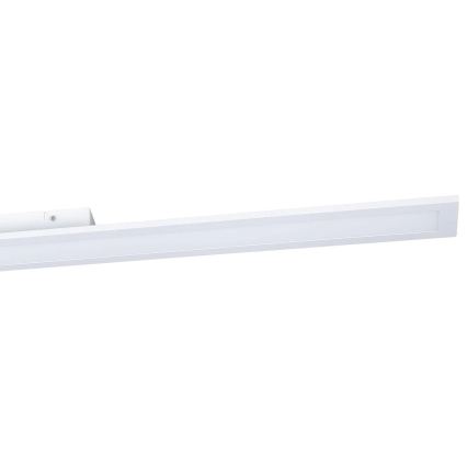Eglo 31722 - Hämardatav LED-laelamp SALOBRENA-Z LED/33,5W/230V 2700-6500K valge
