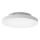Eglo 31727 - LED RGBW reguleeritav laevalgusti TURCONA-Z LED/15,7W/230V valge