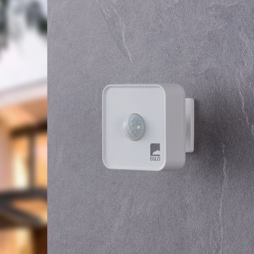 Eglo 31747 - Väli andur CONNECT-Z IP44