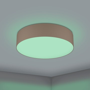 Eglo 31767 - LED RGBW hämardatav laelamp ROMAO-Z LED/35W/230V 2700-6500K läbimõõt 57 cm taupe