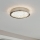 Eglo 32047 - LED Laevalgusti AREZZO 2 LED/17,92W/230V