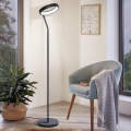 Eglo 32327 - LED RGBW hämardatav põrandalamp MARGHERA-C LED/15,5W/230V 2700-6500K must