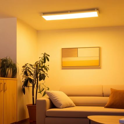 Eglo 32734 - LED RGBW Hämardatav pinnale kinnitatav/süvistatav panel 2in1 SALOBRENA-C LED/34W/230V valge + kaugjuhtimispult