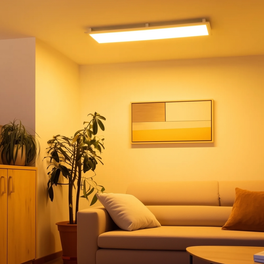 Eglo 32734 - LED RGBW Hämardatav pinnale kinnitatav/süvistatav panel 2in1 SALOBRENA-C LED/34W/230V valge + kaugjuhtimispult