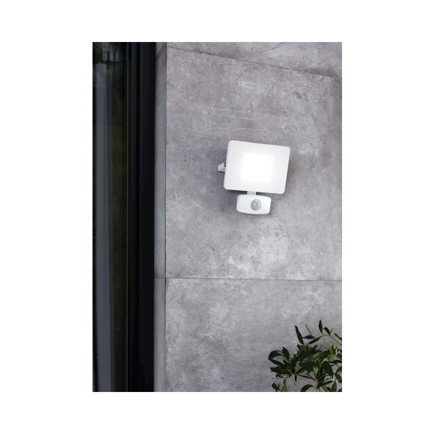 Eglo - LED prožektor anduriga LED/20W/230V IP44