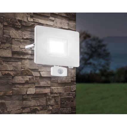 Eglo - LED prožektor anduriga LED/50W/230V IP44