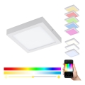 Eglo 33316 - LED RGBW hämardatav laevalgusti FUEVA-C LED/15,6W/230V 2700-6500K 22,5x22,5 cm valge