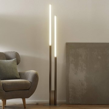 Eglo 33323 - LED RGBW Hämardatav põrandalamp FRAIOLI-C 2xLED/17W/230V 2700-6500K matt kroom