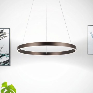 Eglo 33483 - ALCAZABA LED-rippvalgusti kaabliga, 2xLED/18W/230V, 3000K, läbimõõt 55 cm, pronks