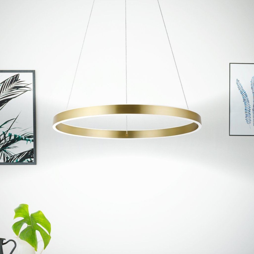 Eglo 33484 - ALCAZABA LED-rippvalgusti kaablil, 2×LED, 18 W, 230 V, 3000 K, läbimõõt 55 cm, kuldne