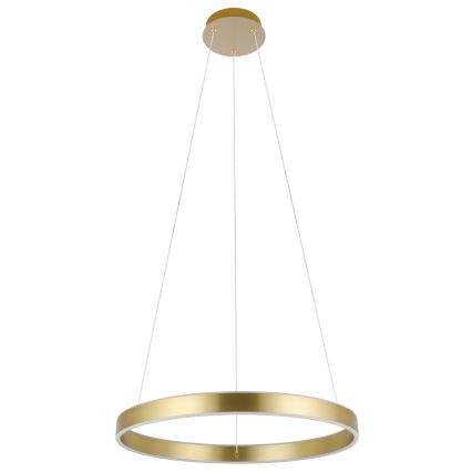 Eglo 33484 - ALCAZABA LED-rippvalgusti kaablil, 2×LED, 18 W, 230 V, 3000 K, läbimõõt 55 cm, kuldne